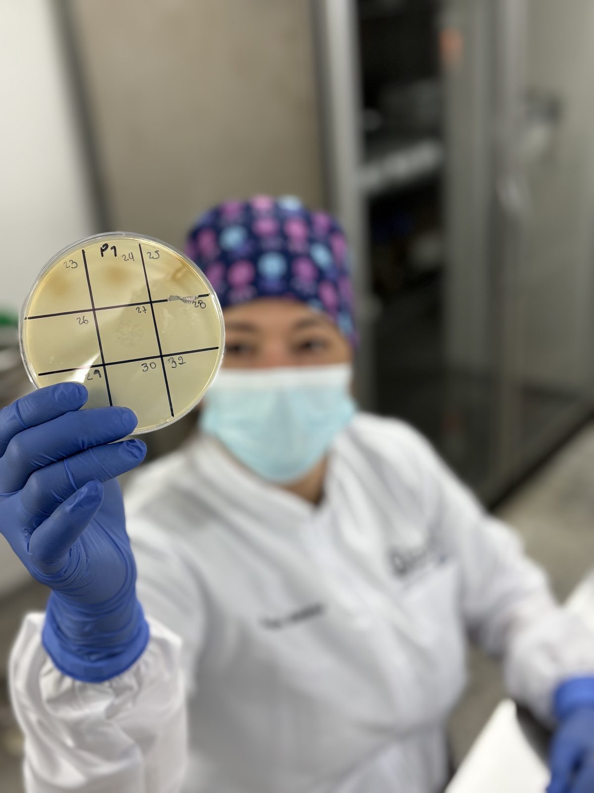 Equipo PhageLife en el laboratorio