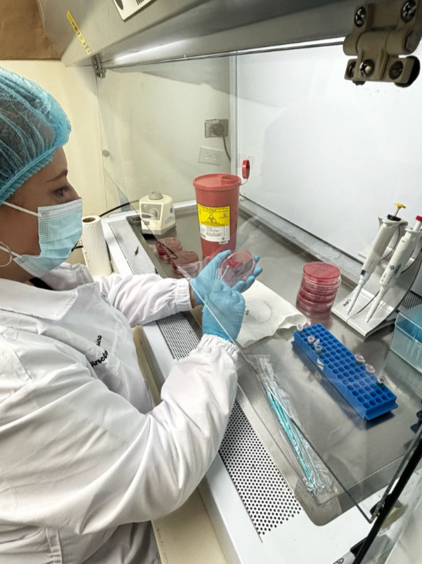 Trabajo en cabina de bioseguridad